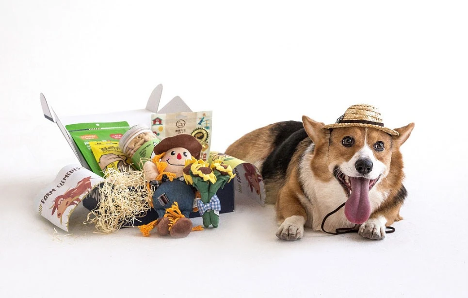 pet toy photography