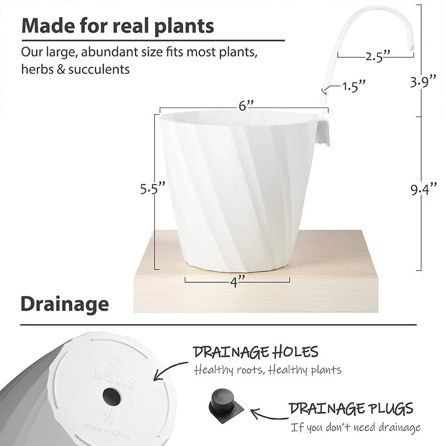 Maximizing Your Amazon Product Visibility with Infographic Design