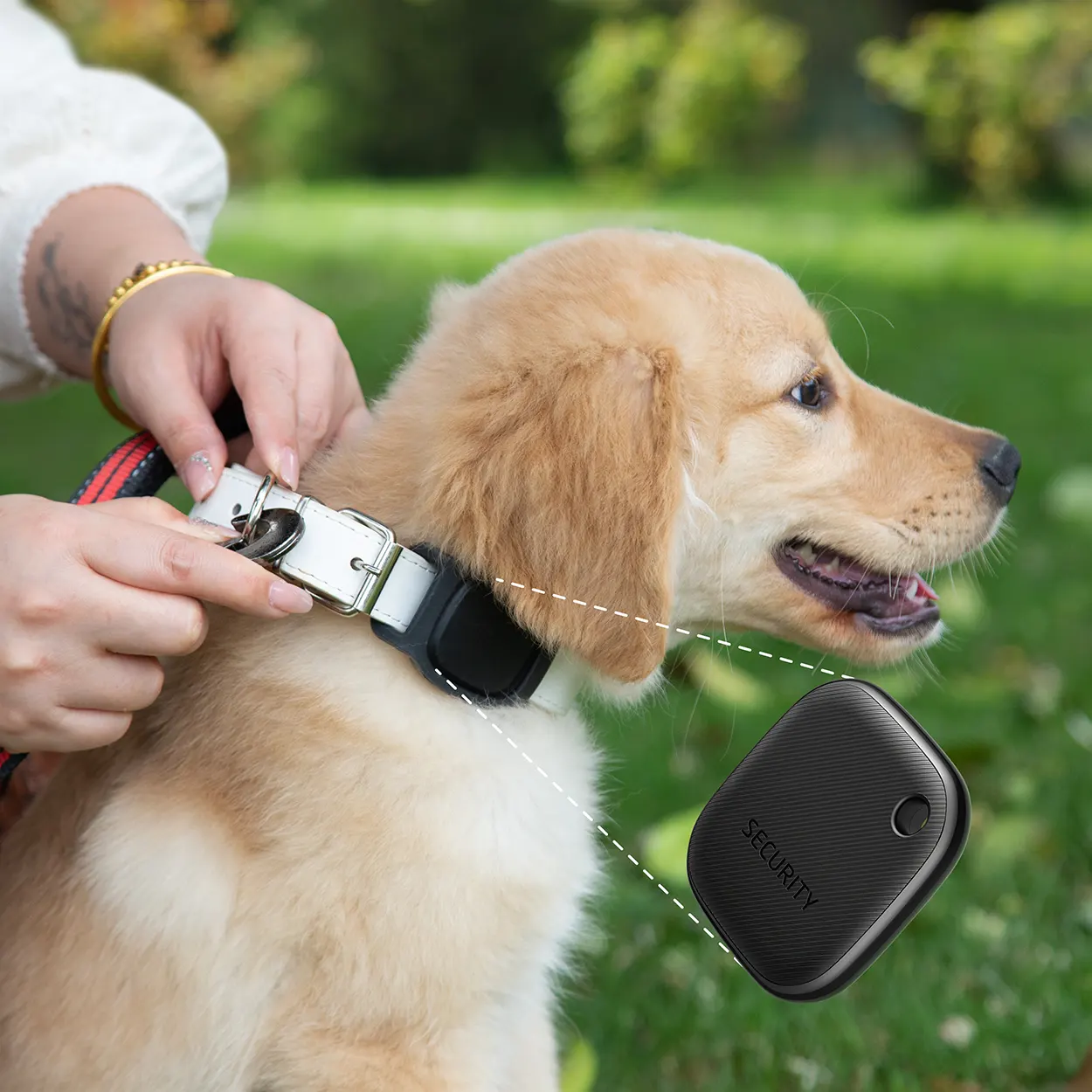 Amazon pet products photography studio in China