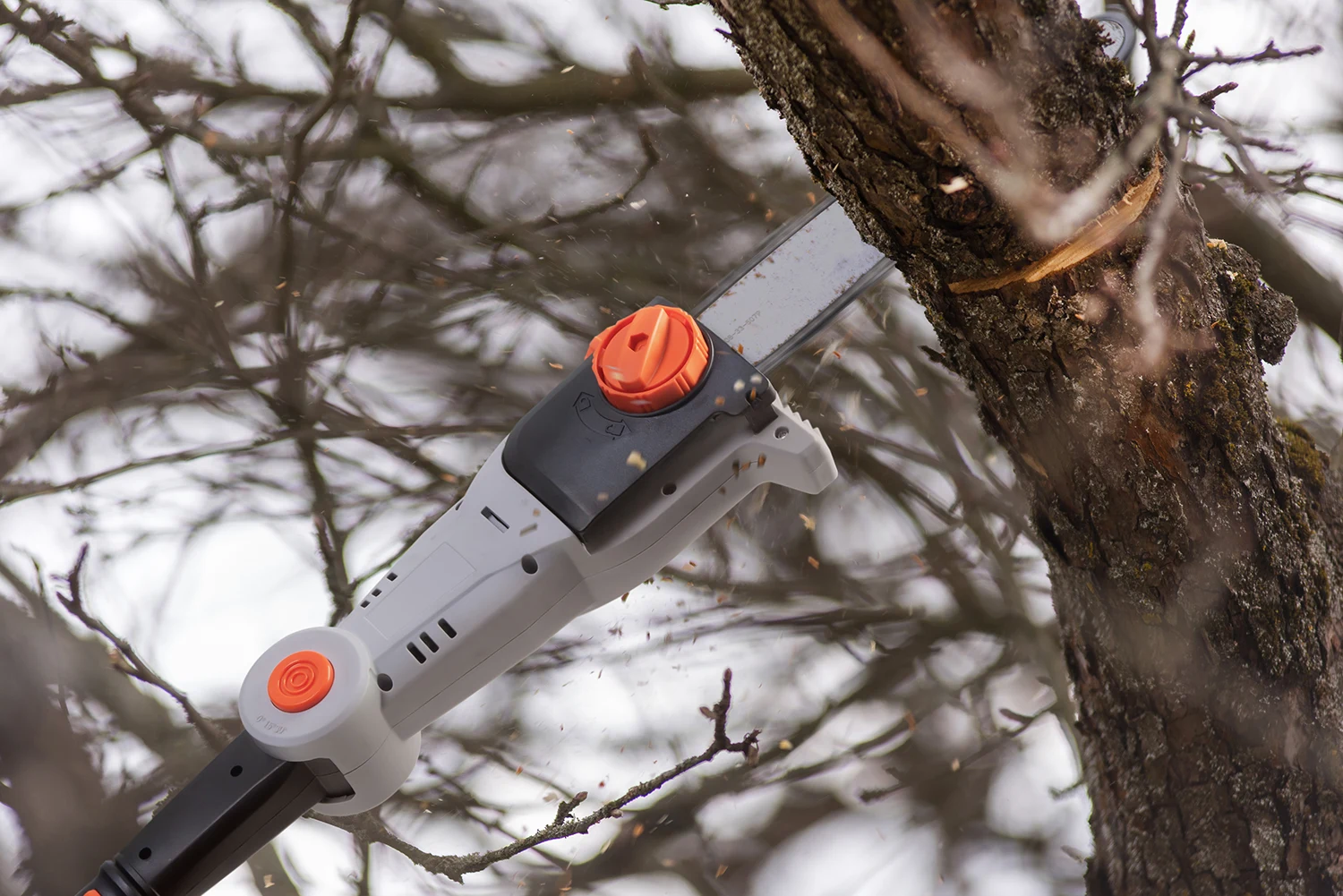 Arborist in Action Pole Chainsaw Lifestyle Photography